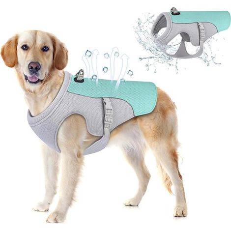 Gilet rinfrescante per cani, pettorina con borraccia integrata, taglia M, ideale per passeggiate, campeggio e addestramento. (1/5)