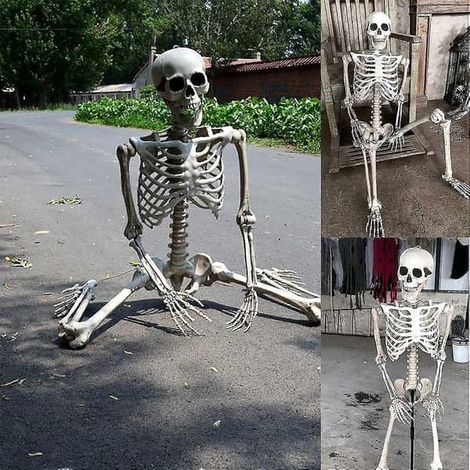 Squelette d'Halloween Taille Réelle Corps Complet Articulé Os Humains, Décoration Effrayante pour Fête d'Halloween Accessoires Maison Hantée
