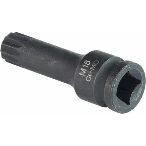 Ficha M18  Punta 1/2  XZN