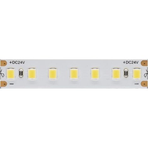 Ruban LED Fine 41 - 24 V, 14,4 W/m, IRC 90, IP65, 4000K - Bobine de 5 m - Beneito Faure - Ruban LED pour intérieur et extérieur