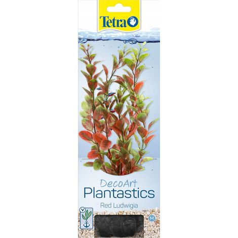 Aquarienpflanze Tetra ludwigia red Farbform Stabilität (1/3)