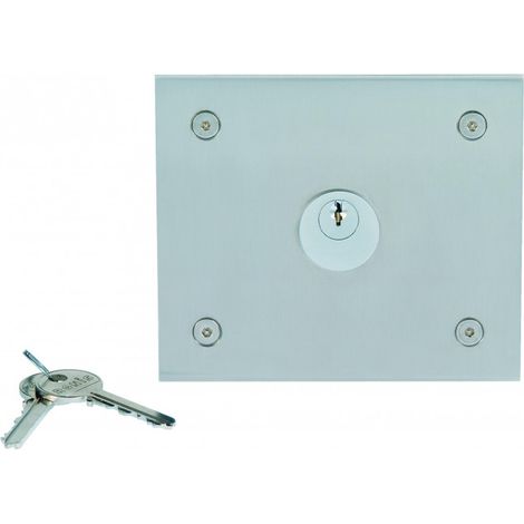 Boîte enc inox 110x130 pour cc URMET 10050/I (1/2)