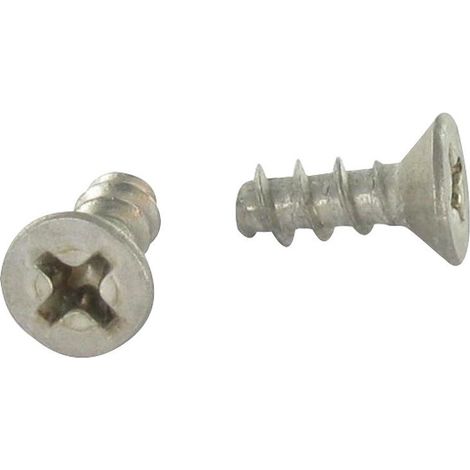 Vis PVC Tête fraisée TF Phillips 4X10 Filet 40 DEGRE Inox A2-1 pièce (1/2)