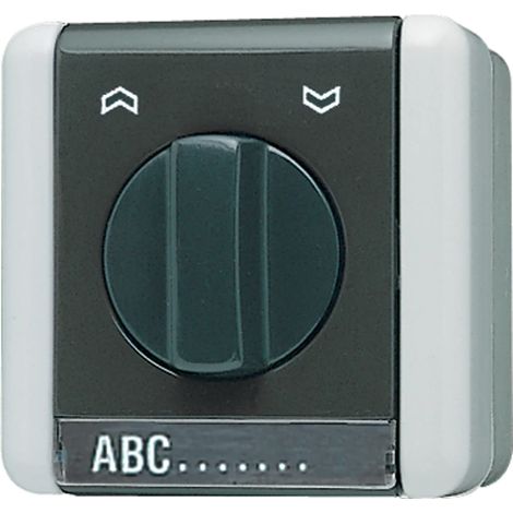 Jung Interruptor giratorio para persianas, unipolar (1 accionamiento), con campo de rotulación, IP 44, WG 800 834.10 W