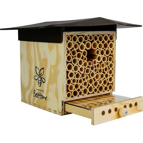 BeeHome Observer braunes Dach
