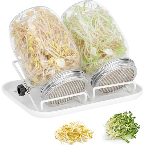 Germoir pour Graines à Germer en Verre, 2 x 1000ml Bocal de Germination avec Couvercle en Acier Inoxydable, Support Réglable et Plateau Blanc, pour Lentilles, Alfalfa, Haricots Mungo (1/5)