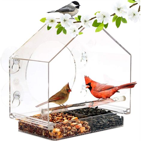 Mangeoire à Oiseaux en Acrylique Mangeoire à Oiseaux pour Fenêtre Transparent Mangeoire de Fenêtre avec 4 Ventouses et Bac à Semences Amovible (1/5)