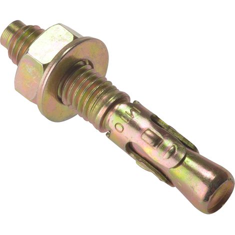 ForgeFix 10TB875 Through Bolt ZYP M8 x 75mm Bag 10 FORTB875M (1/2)