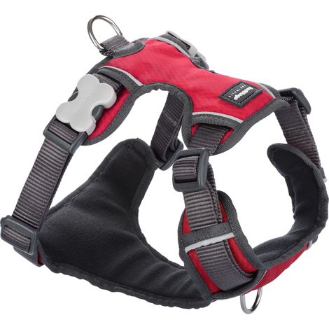 Harnais chien Red Dingo rembourré Rouge Taille : T2