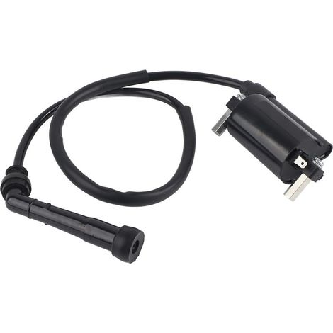 Bobine d'allumage compatible avec SUZUKI SAVAGE 650 LS650P 1986-2004 (accessoire) (1/5)