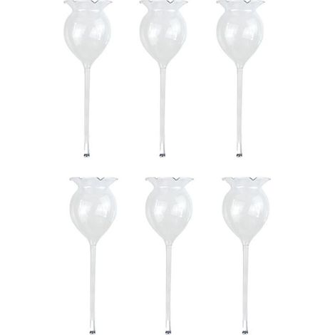 Online Store - Lot de 6 arrosoirs à plantes avec globe d'arrosage automatique en verre transparent soufflé à la main. (1/5)