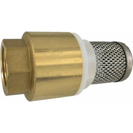 Clapet de Pied 3/4 Pouce en Laiton avec Crépine d'Aspiration Inox