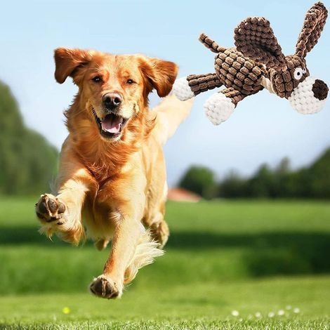Jouet pour Chien Jouets Couineur pour Chien, Jouet Peluche pour Chiens, Interactifs Chiens Jouets à Mâcher pour Gros Petite Chien(1pc) (1/4)