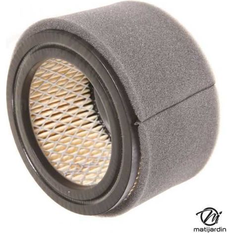 Filtre à air pour moteur Kubota 13907-1121-0 (1/5)