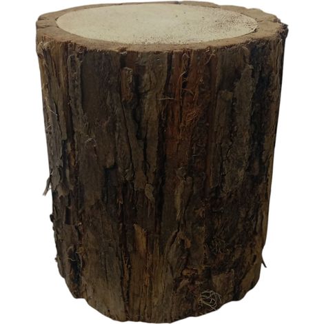 Tronco in Legno Cavo h 15 cm Diametro 12 cm con Corteccia Naturale Portavasi Vaso Rustico per Decoupage Allestimenti e Fai da Te Composizioni Floreali e Bricolage (1/5)