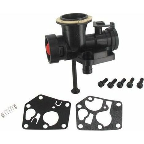 Carburateur Briggs Stratton sur réservoir 498811 (1/4)