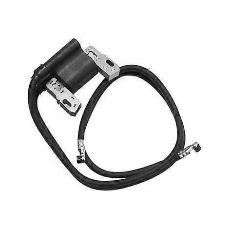 Allumage pour moteur Briggs & Stratton à 2 cylindres 16-18 ch (394891)( )