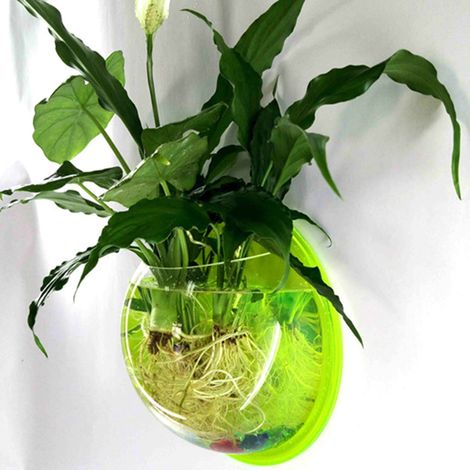 Fish Tank - Acrylic Wall Mounted - For Goldfish Aquatic Plants Or Flowers - 23 Cm Diameter - 1 Unit (1/5)