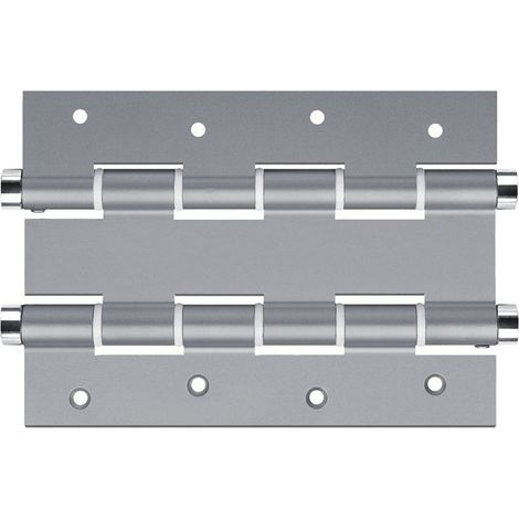 Justor Hinge 59 Argento Doppia Azione Set di 2 Unità 5914.01