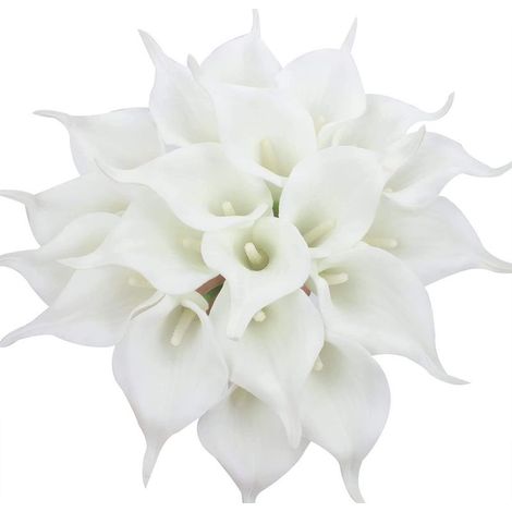 24 arums artificiels en latex, bouquet réaliste d'une seule tige pour la décoration de la maison, des fêtes, du bureau, des mariages et des compositions florales (blanc pur) (1/5)