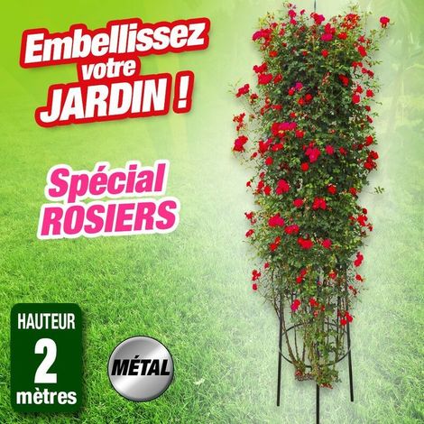 Tuteur en colonne pour rosier et plante grimpante. en métal. hauteur 2 mètres (1/5)
