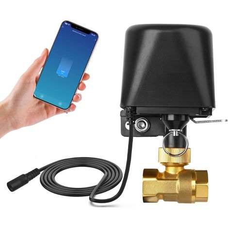 Valve d'eau intelligente WIFI/Bluetooth - Commande vocale - Compatible avec 2,4 GHz - Contrôle automatique de la vanne pour cuisine, jardin, ferme (DN25) (1/5)
