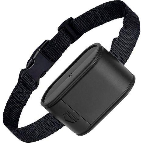 Collier anti-aboiements pour système de clôture anti-fugue pour chiens TeqHome : récepteur de collier électrique réglable pour (1/4)