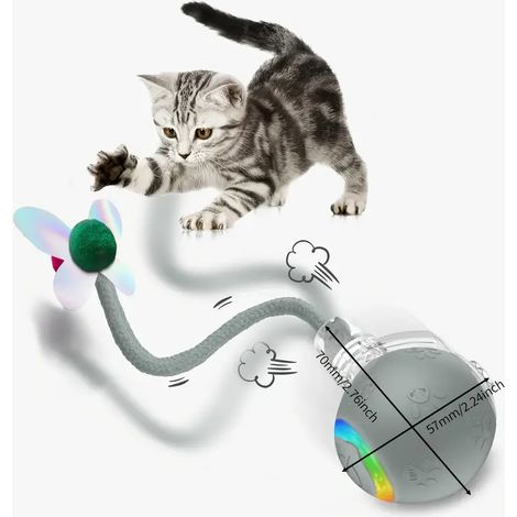 Jouet interactif intelligent pour animaux de compagnie qui bloque les chants d'oiseaux grâce à un long cordon violet (1/4)