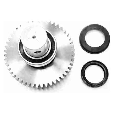 Albero Lento Ingranaggio – Motore Frog Ricambio CAME 119RIA015