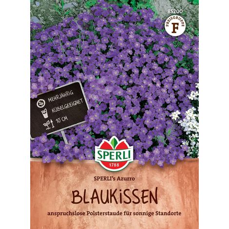 Blaukissen SPERLI's Azurro - Blumensamen (1/2)