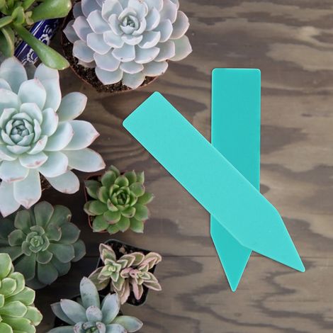 100 Stück Namensschilder aus Kunststoff für Blumen- und Pflanzensamen (1/5)