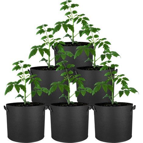 6 Pièces Sac de Plantation Non Tissé Épaissi 3 Gallons 12L Sac de Culture Potager avec Poignées Sacs à Plantes Noir Pot Geotextile Pots pour Plante en Tissu pour Pomme de Terre Fraises Fleurs (1/4)
