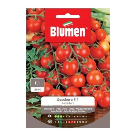 SEMI POMODORO ZUCCHERO F1 BLUMEN (1/3)