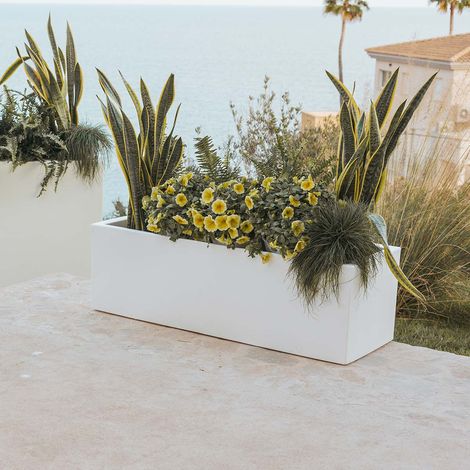 JARA 140 Macetero Rectangular de Interior y Exterior Para Plantas y Flores Muy Resistente al Paso del Tiempo. Jardinera Hecha de Polietileno en España - Blanco