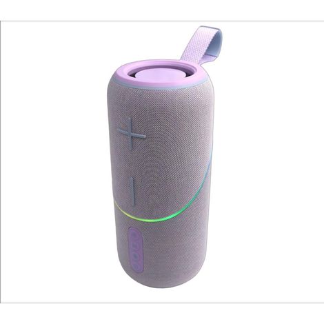 Enceinte Bluetooth portable d'extérieur 20 W - Caisson de basses, son haute fidélité Harman, éclairage LED RGB et longue autonomie - Violet