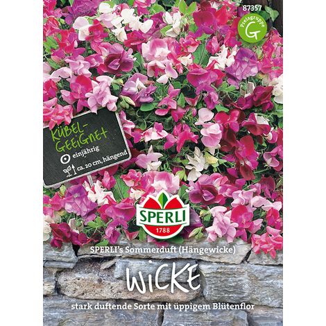 Sperli Duftwicken SPERLI's Sommerduft - Blumensamen (1/4)