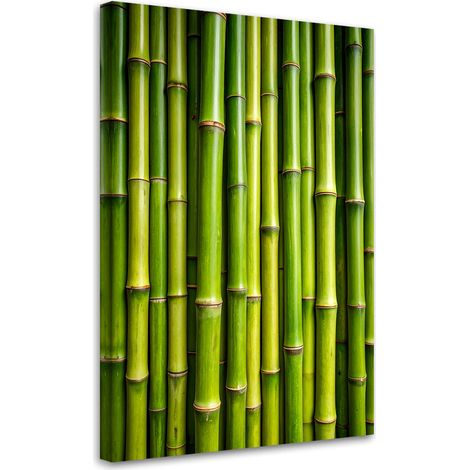 Wandbild Grüner Bambus Pflanzen 70x100 cm (1/5)