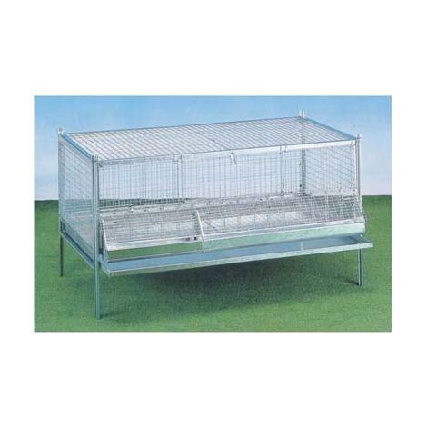 GABBIA PULCINI ANTITOPO CM 100X50 H.CM 60