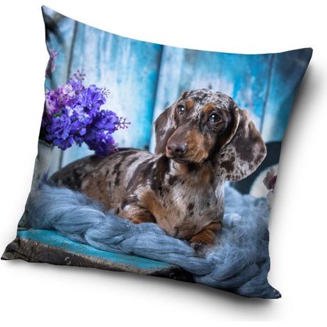 taie d'oreiller pour chien 40x40 cm