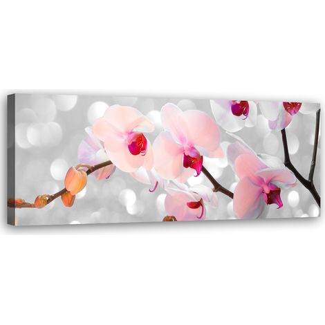 Tableau sur toile Fleurs d'orchidées Nature 90x30 (1/5)