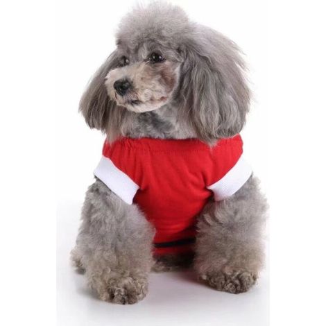 Vêtements pour animaux de compagnie, vêtements pour chiens, vêtements de stérilisation, vêtements de rééducation pour chiens, vêtements de protection contre les blessures pour animaux de comp (1/5)