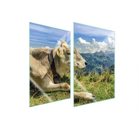 Assiette de protection en verre pour la cuisine 2x35x52 vache (1/5)