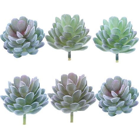 6 plantes succulentes réalistes (1/3)