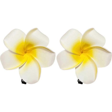 Lot de 2 pinces à cheveux pour femmes, décorées de fleurs, antidérapantes, pour frange et cheveux de côté.-S (1/5)