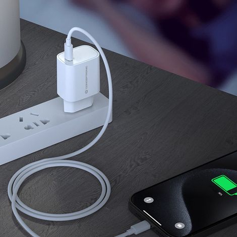 Conceptronic ALTHEA14W 20W, USB-C x 1, PD 3.0 Ladegeräte - USB -