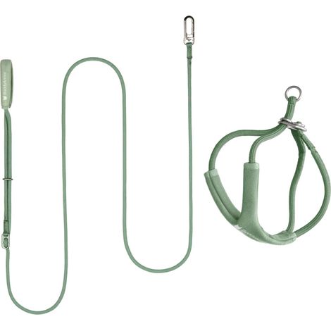 Harnais Chat Y Anti-Évasion Olive S, Laisse Mains Libres 125-220cm, Rembourré, Réglable, Jusqu'à 12kg (1/5)