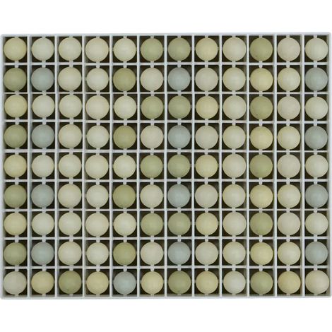 Panier d'incubation oeufs de faisan TR108 (1/3)