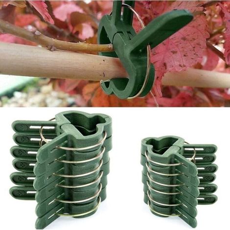 100 Pcs Clips Plantes Pinces pour Plantes Grimpantes Attache Tomates Reutilisable Vert 50 Grandes+50 Petits (1/5)