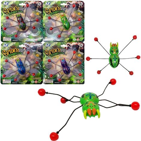 Spinne klettert an der Glasscheibe herunter (Mix)