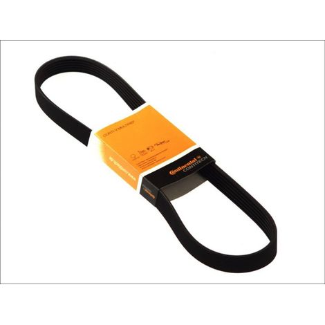 Cinghia multi-nervata CONTITECH 6 PK 2230 (1/3)